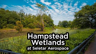 Hampstead Wetlands Park at Seletar Aerospace [upl. by Angrist]