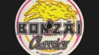 BONZAI RECORDS 1993 no mans landAALow frequency [upl. by Atileda674]