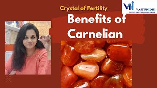 Benefits of Carnelian CrystalCrystal of Courage and Fertility [upl. by Lehmann]