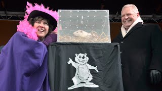 Ont town defends hiding death of weather guessing groundhog Wiarton Willie [upl. by Hanikehs]