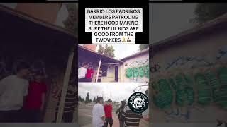 chicanofoos chicano sureno norteno hoodvlogs [upl. by Ahsenak]