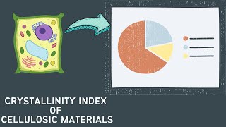 Calculating the crystallinity index CrI of cellulose using Segals Equation [upl. by Resneps]