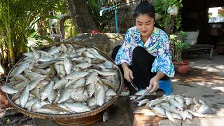 Freshwater fishes Mommy chef in countryside cooking 4 recipes with fishes  Countryside life TV [upl. by Ahsinnod]