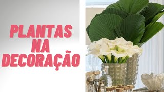 TENDÃŠNCIAS DE PLANTAS LINDAS PARA A DECORAÃ‡ÃƒO E PAISAGISMO [upl. by Coleville]