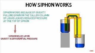 How siphon works [upl. by Coray]