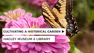 Cultivating A Historical Garden  Hagley Museum amp Library [upl. by Granese]