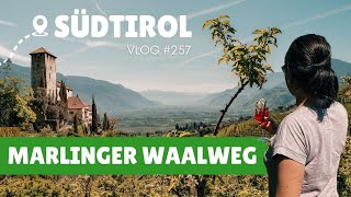 Marlinger Waalweg – Der schönste von allen  VLOG 257  SÜDTIROL 🇮🇹 [upl. by Zil]