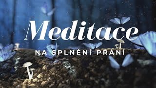 Meditace na splnění přání Meditace vizualizace amp imaginace VELMI ÚČINNÁ [upl. by Enois]