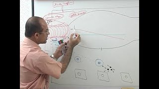 Inflammation  Vascular Events  Immunology  Dr Najeeb [upl. by Hadnama]