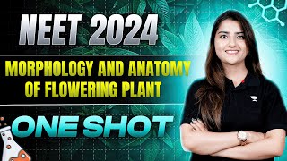 Morphology and Anatomy of Flowering Plants  One Shot  NEET 2024  Seep Pahuja [upl. by Haley]