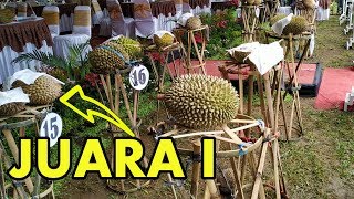 Penampakan durian yang di lombakan di FESTIVAL DURIAN Lolong Pekalongan 2019 [upl. by Norraj]