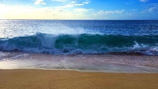 Ocean Waves Relaxation 10 Hours  Soothing Waves Crashing on Beach  White Noise for Sleep [upl. by Anrapa427]