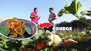 Courge musquée de Provence [upl. by Suiravad]