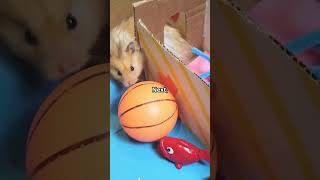 DIY Enrichment Toys for Small Pets 🐹🐰  PetCentric TV shorts video facts animals pets [upl. by Nora]