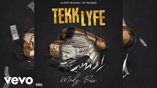 Medz boss  Tekk lyfe Audio Visual [upl. by Helfant971]