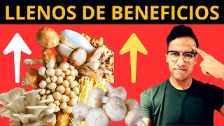 7 Grandes Beneficios de las Setas y Hongos Champiñones [upl. by Brieta444]