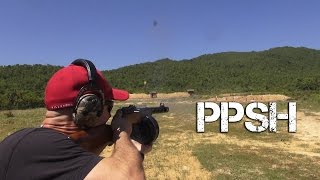 Barely Acceptable for Shooting a Cat  762x25mm  Part 1 PPSH [upl. by Kilam]