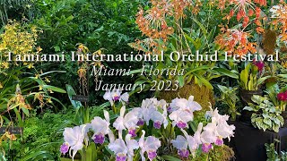 Tamiami International Orchid Festival Florida Jan 2023 [upl. by Casey153]