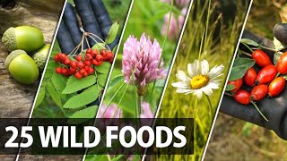 25 Edible Plants Berries and Trees for Wilderness Survival [upl. by Gertrudis]