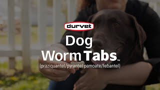 Provide 4Way Protection With Durvet Dog Worm Tabs [upl. by Zsamot448]