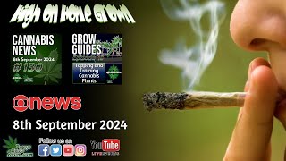 Product Earth Shut Down By Police  UK quotBlack Marketquot is Huge  Anaesthesia and Cannabis  News [upl. by Wehtta401]