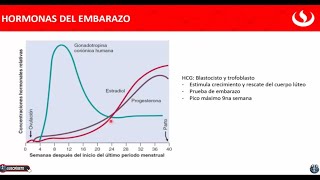 Hormonas del Embarazo  HCG  Blastocisto  Trofoblasto  Gonadotropina  Estradiol  Progesterona 👍 [upl. by Elihu]