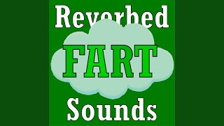 Fart sounds with mega reverb [upl. by Niwde832]