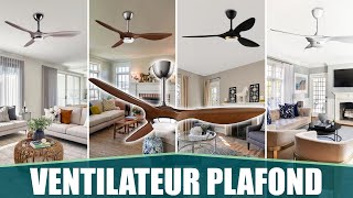 LE MEILLEUR VENTILATEUR DE PLAFOND  Reiga [upl. by Nodnerb20]