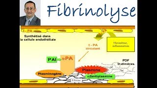 Fibrinolyse [upl. by Amsirak]