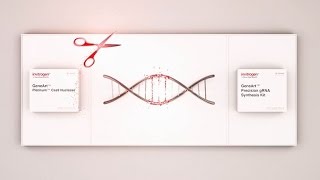 Next level CRISPR editing Cas9 RNP [upl. by Varney]