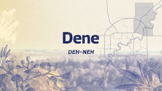 Edmonton Ward Dene [upl. by Ahsienel]