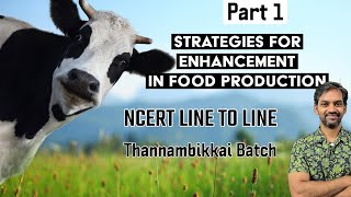 Strategies for Enhancement in Food Production Class 12 Biology  Chapter 9 Ncert Solutions Q16 [upl. by Brook]