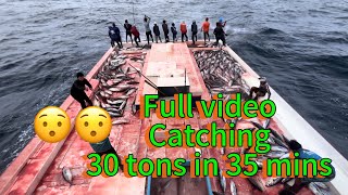 🤩 Full video catching 30 tons of skipjack tuna in 35 mins 🤩🤩 [upl. by Delaryd]