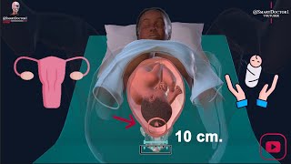 Vaginal Delivery  Labour amp Birth 👶🏻🤱🏻 [upl. by Ssor]