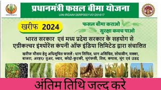 PM Fasal Bima Yojana online apply 2024 Pradhan mantri fasal Bima Yojana 2024 [upl. by Rebmeced]