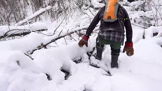 Tuscarora Update  Dakota Lithium Battery More Extreme Cold Red Fox and Lots of Snowshoeing [upl. by Mot]