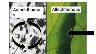 Autochthonous Vs Allochthonous Vs Parautochthonous ll Ecology ll Biology With Iswar ll csirnet 2021 [upl. by Cherice]