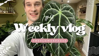 Weekly vlog 16 Des arrivages plantes de folie 🤩🪴 [upl. by Okorih395]