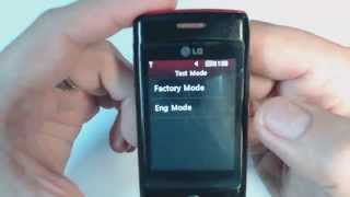 LG Cookie Lite T300 factory reset [upl. by Hudnut446]