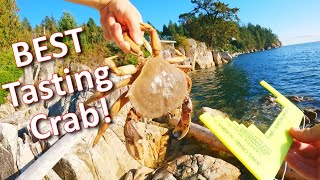 Crabbing From Shore Catch amp Cook Dungeness Crab [upl. by Uwkuhceki871]