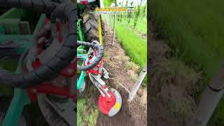 Nursery Weed Control  Clemens Radius SL Weeder [upl. by Boorer274]