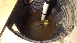 ANOTHER ZOELLER SUMP PUMP CALLED IT QUITS [upl. by Kareem]