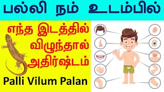 பல்லி நம் உடம்பில் எந்த இடத்தில் விழுந்தால் என்ன பலன்Palli Vilum PalanIndian Astrology prediction [upl. by Nivre399]