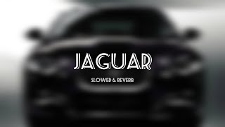 Jaguar Slowed  Reverbed  Sukhe Bohemia [upl. by Anailuy]