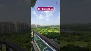 View From Dlf Camellias Balcony gurgaoncity dlfgurgaon dlfphase2 gurugram gurgaonrealestate [upl. by Niknar]