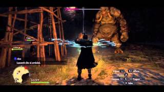 Dragons dogma  Missione per lidolo dargento 12 [upl. by Ilojne]