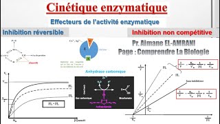 Séance 12  Effecteurs de l’activité enzymatique  Inhibition non compétitive [upl. by Ybok]