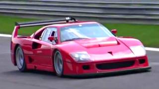 Ferrari F40 LM INSANE SOUND  Accelerations Fly Bys and Backfiring [upl. by Octavus]