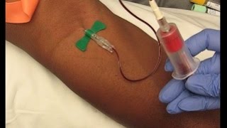 Phlebotomy Procedure Venipuncture with 21G Butterfly education phlebotomy tutorials [upl. by Enileoj15]