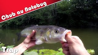 ♫ Chevesne au Notobug TRAP  Touche en direct  Peche au Leurre  HD ♫ [upl. by Darlene720]